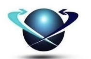 Société Stamina SA logo